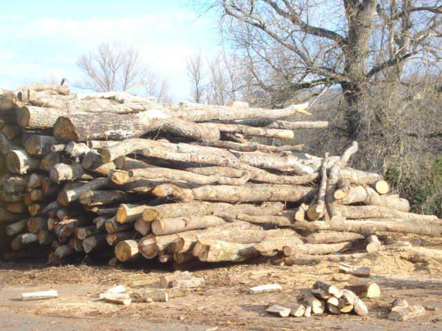 Bois de chauffage Langeac